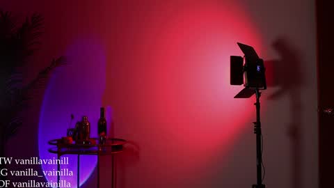 Snapshot of vanilla_velvet chatting on December 30, 2024, 12:22 am Annabet online show from December 30, 2024, 12:22 am