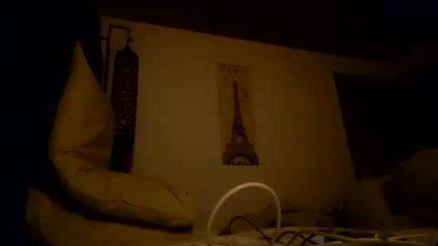 Snapshot of vegboy87 chatting on November 11, 2025, 6:41 pm vegboy87 online show from November 11, 2025, 6:41 pm