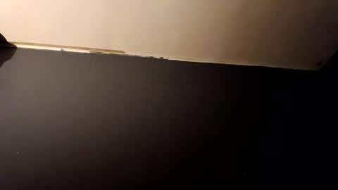 Snapshot of vegeto222 chatting on November 23, 2025, 2:39 pm vegeto222 online show from November 23, 2025, 2:39 pm