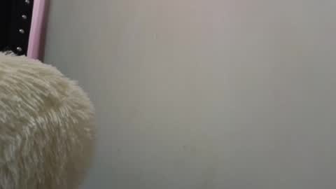 Snapshot of vel_zola chatting on December 17, 2024, 7:29 am zola online show from December 17, 2024, 7:29 am