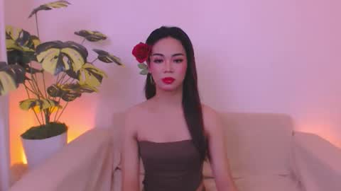 Velvet online show from May 30, 2026, 2:41 am