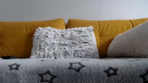 vendi1 online show from February 24, 2026, 9:40 am