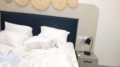 Violetta  online show from November 9, 2025, 2:32 am