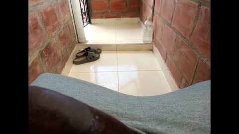 Snapshot of ver_gonblack chatting on February 12, 2025, 6:19 pm ver_gonblack online show from February 12, 2025, 6:19 pm