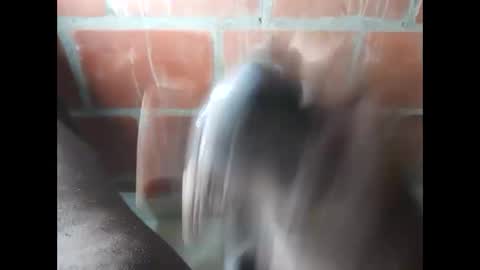 Snapshot of ver_gonblack chatting on September 25, 2025, 11:52 pm ver_gonblack online show from September 25, 2025, 11:52 pm