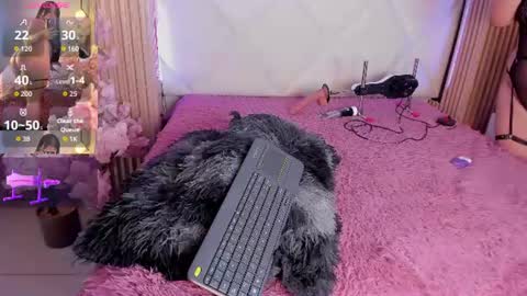 veronica_hill_ online show from July 2, 2026, 3:06 am