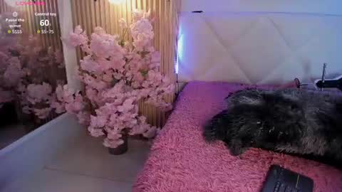 veronica_hill_ online show from July 9, 2026, 3:10 am