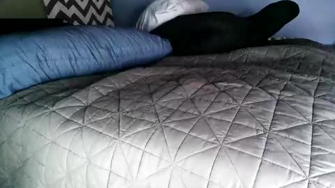 Snapshot of vexnew chatting on November 2, 2025, 8:00 pm Vexnew online show from November 2, 2025, 8:00 pm