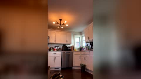 Snapshot of vic_cd chatting on April 8, 2026, 11:54 am vic_cd online show from April 8, 2026, 11:54 am