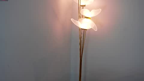 Sophie and Stan  online show from April 9, 2026, 6:19 am