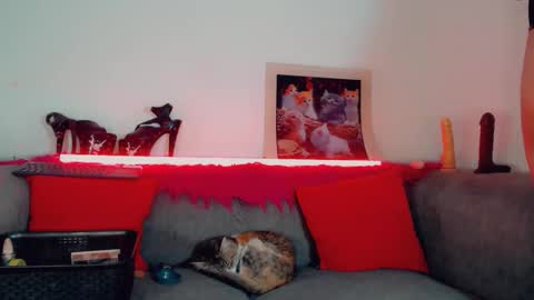 Snapshot of vicky_gill_ chatting on October 17, 2025, 7:49 pm vicky_gill_ online show from October 17, 2025, 7:49 pm