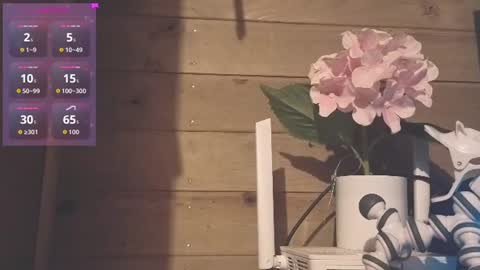 vickyvalencia2 online show from July 3, 2026, 3:13 am