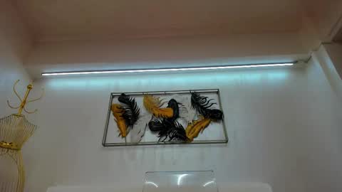 vikafever online show from November 10, 2025, 4:11 am