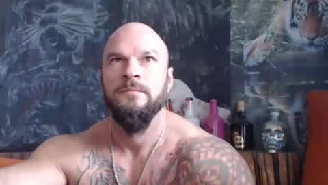 Snapshot of viking_me chatting on October 8, 2025, 10:13 am viking online show from October 8, 2025, 10:13 am