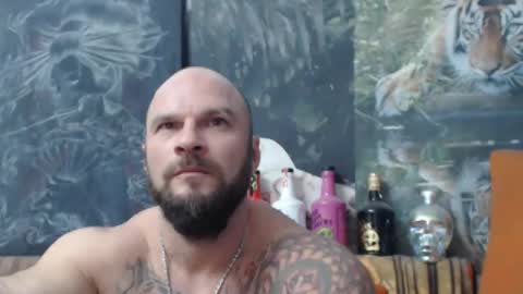 Snapshot of viking_me chatting on October 16, 2025, 7:04 pm viking online show from October 16, 2025, 7:04 pm