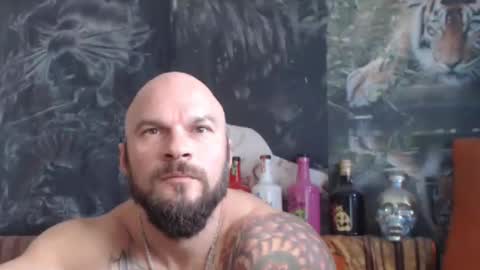 Snapshot of viking_me chatting on October 24, 2025, 7:38 am viking online show from October 24, 2025, 7:38 am