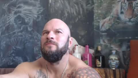 Snapshot of viking_me chatting on October 25, 2025, 7:49 am viking online show from October 25, 2025, 7:49 am