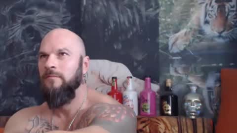 Snapshot of viking_me chatting on November 4, 2025, 8:02 am viking online show from November 4, 2025, 8:02 am