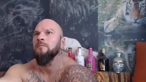 Snapshot of viking_me chatting on November 5, 2025, 8:14 am viking online show from November 5, 2025, 8:14 am