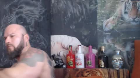 Snapshot of viking_me chatting on November 6, 2025, 8:26 am viking online show from November 6, 2025, 8:26 am