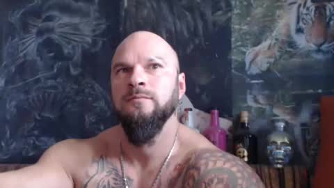 Snapshot of viking_me chatting on November 7, 2025, 10:26 am viking online show from November 7, 2025, 10:26 am