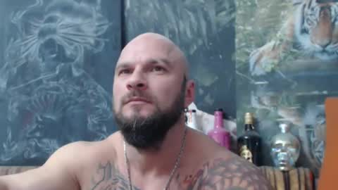 Snapshot of viking_me chatting on November 8, 2025, 7:56 pm viking online show from November 8, 2025, 7:56 pm