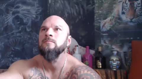 Snapshot of viking_me chatting on November 11, 2025, 8:14 am viking online show from November 11, 2025, 8:14 am