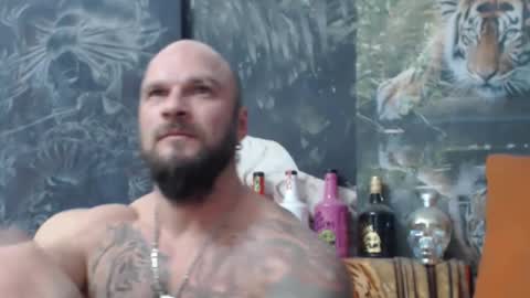 viking online show from November 15, 2025, 7:32 pm