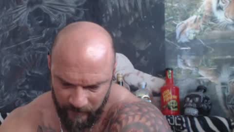 Snapshot of viking_me chatting on June 22, 2026, 6:32 am viking online show from June 22, 2026, 6:32 am
