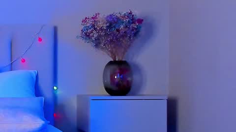 Snapshot of vikkilustfull chatting on January 17, 2025, 6:44 pm VIKKI online show from January 17, 2025, 6:44 pm