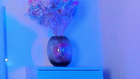 Snapshot of vikkilustfull chatting on January 29, 2025, 7:11 pm VIKKI online show from January 29, 2025, 7:11 pm