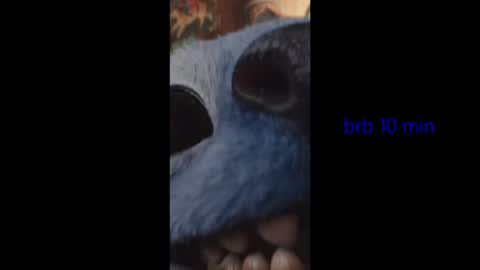 vinkitinkii online show from February 6, 2026, 4:50 am