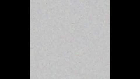 VIOLETA AND MAXX online show from November 9, 2025, 11:03 pm