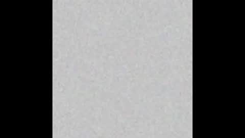 VIOLETA AND MAXX online show from November 24, 2025, 11:04 pm