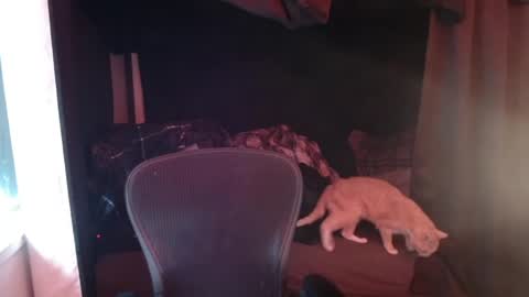 Snapshot of voidcatdaddy chatting on April 27, 2026, 6:06 pm Rev online show from April 27, 2026, 6:06 pm