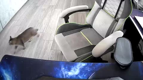 Snapshot of vonele chatting on October 21, 2025, 6:47 am Vonn online show from October 21, 2025, 6:47 am