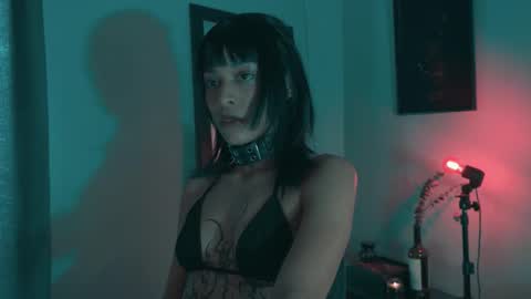 vortexspecter online show from October 19, 2025, 8:42 pm