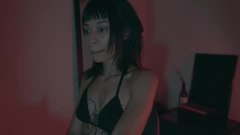 Snapshot of vortexspecter chatting on February 19, 2026, 9:33 pm vortexspecter online show from February 19, 2026, 9:33 pm