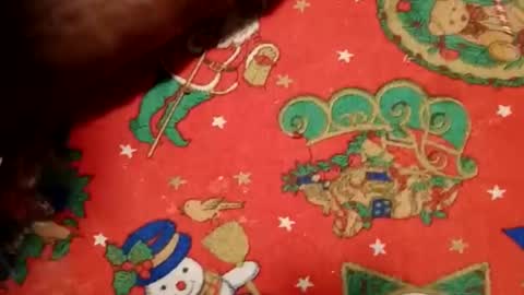 ghhhgh online show from December 11, 2024, 9:52 am