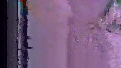 wallsend74 online show from May 28, 2026, 6:16 pm