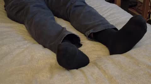 Snapshot of waltsobchak chatting on January 15, 2026, 3:44 am I love the ol in-n-out online show from January 15, 2026, 3:44 am