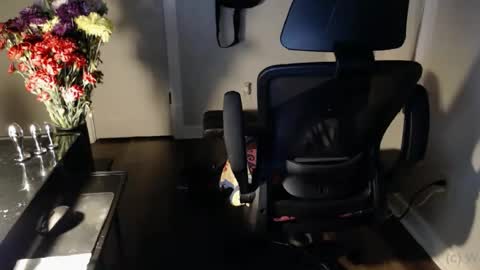 wasted_daze_ online show from October 25, 2025, 10:34 am