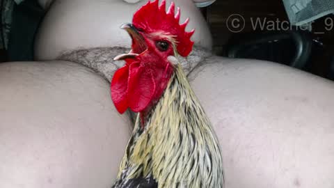 classified online show from December 25, 2024, 8:50 pm