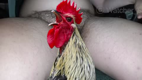 classified online show from December 29, 2024, 1:34 am