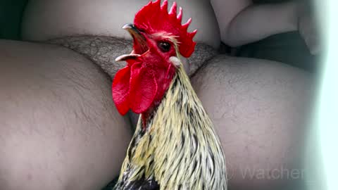 classified online show from October 7, 2025, 8:17 pm