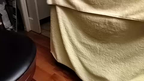 Watchm333 online show from December 14, 2025, 8:09 am