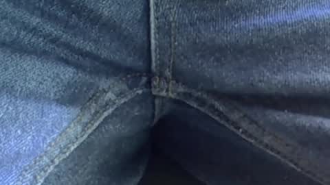 Davey online show from April 8, 2026, 9:09 am