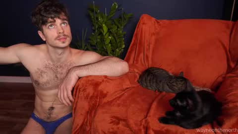 waynenorth online show from November 22, 2025, 4:39 pm