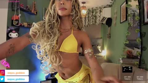 Wayuu Goddess  3 online show from January 17, 2025, 8:00 pm