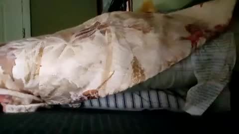 Snapshot of welldny chatting on October 19, 2025, 6:08 pm welldny online show from October 19, 2025, 6:08 pm